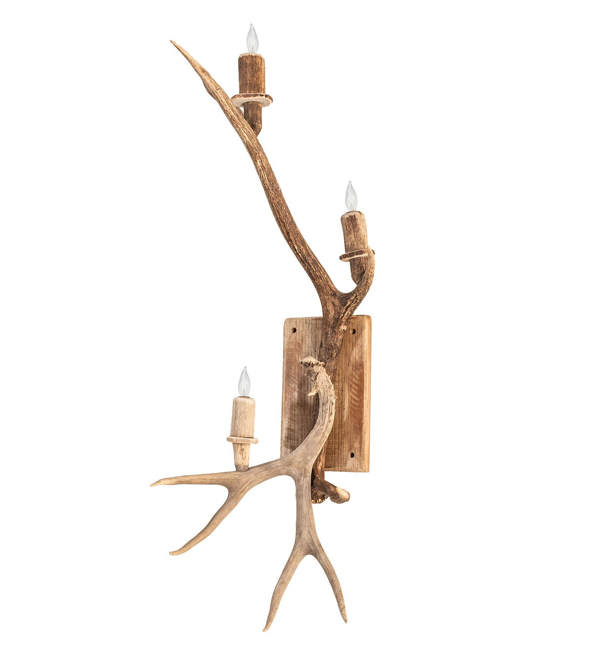 Antlers Elk and Mule Deer 34.00" Naturally Shed/Sun Bleached Wall Sconce detail view 2