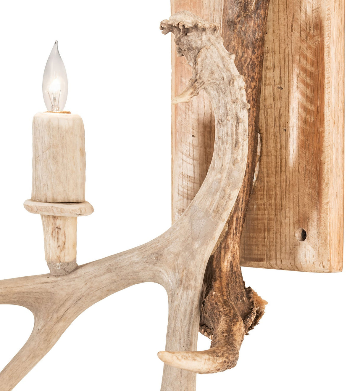Antlers Elk and Mule Deer 34.00" Naturally Shed/Sun Bleached Wall Sconce detail view 3