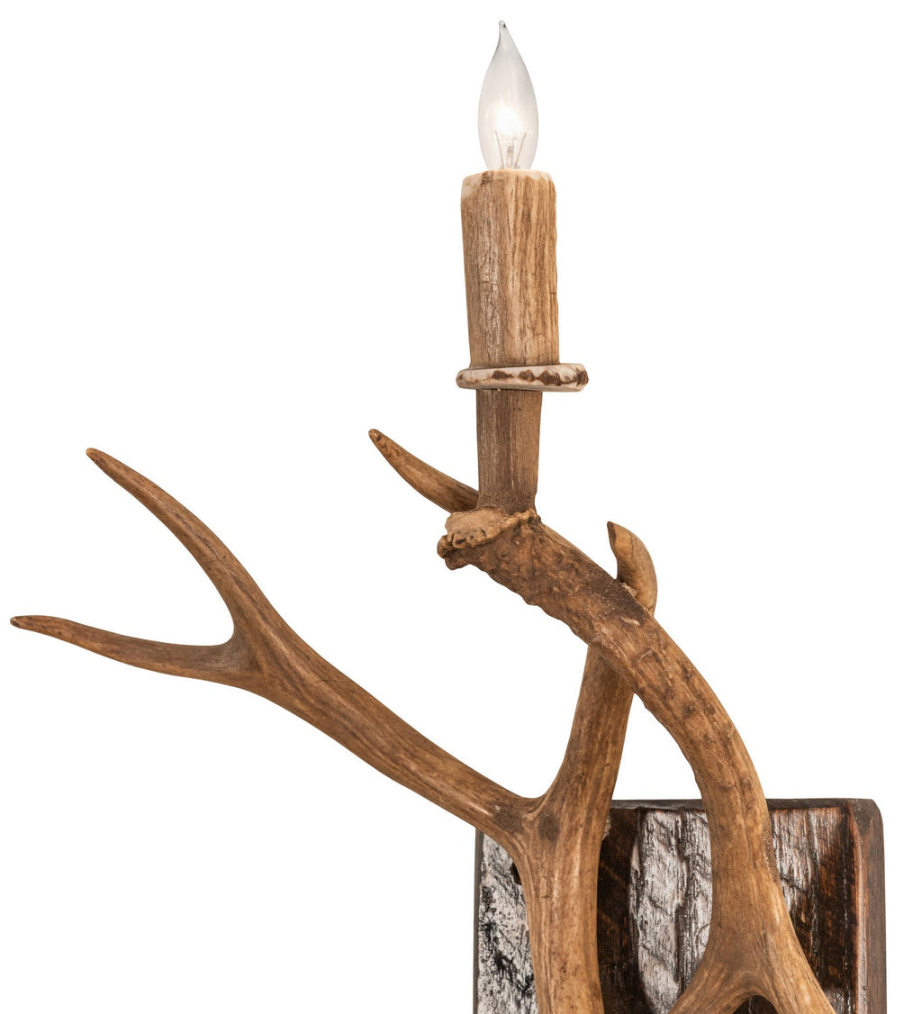 Antlers Elk and Mule Deer 1-Light 20.00" Natural Antler Wall Sconce detail view 3
