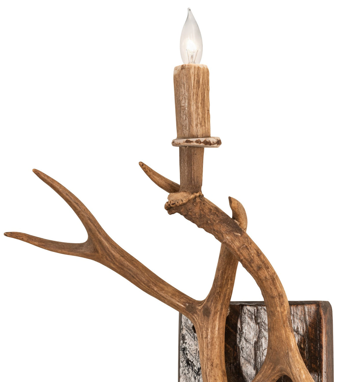 Antlers Elk and Mule Deer 1-Light 20.00" Natural Antler Wall Sconce detail view 3