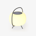 Soluna Pod Lantern Exterior Lamp, Outdoor Wall Light, Stainless Steel, Dia 25cm x H 27cm