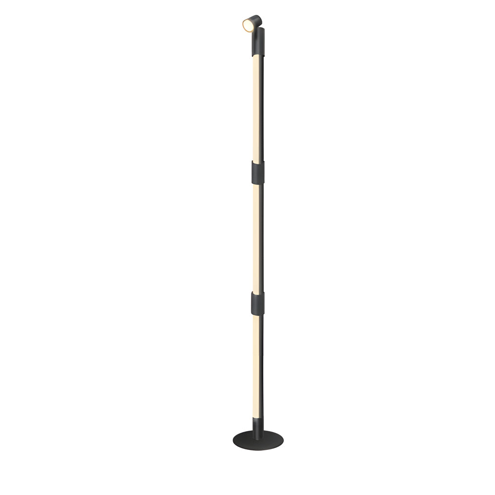 RGB Rotating Floor Light with Spotlight, Remote Control, Floor Lamp, detail 5