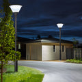 1-Light Circular Solar LED Exterior Lamp Post in Black, Outdoor Wall Light, 98.4"