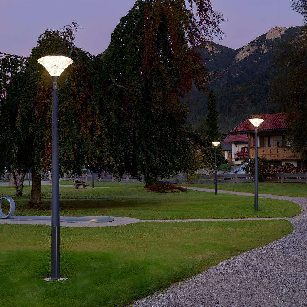 1-Light Black Exterior LED Solar Lamp Post and Pole Street Light, Outdoor Wall Light, detail 4