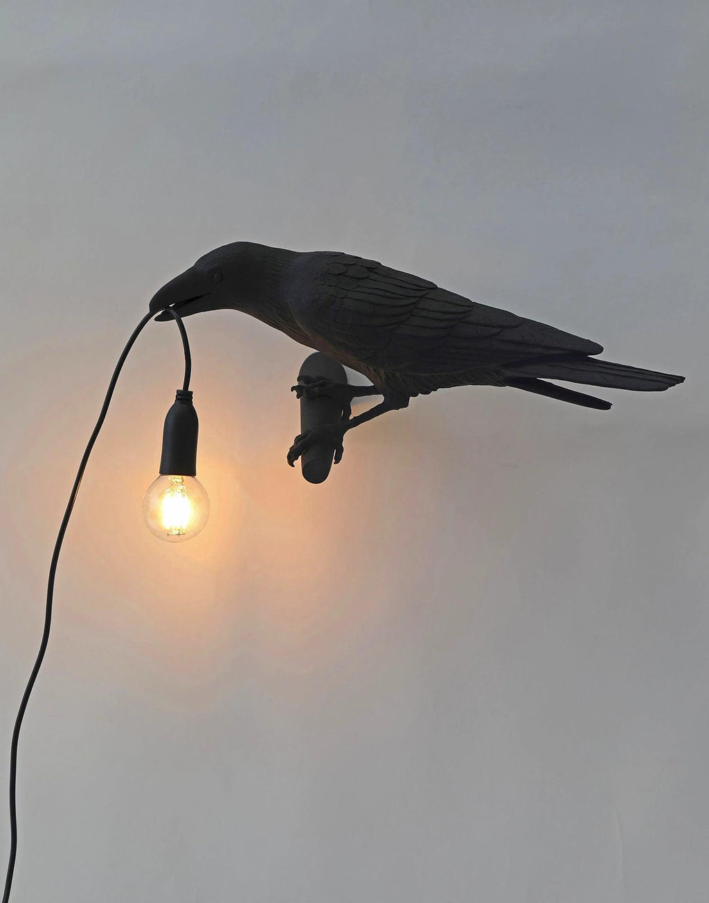 Bird Wall Light, Hardwired Wall Sconce, detail 28