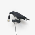Bird Wall Light, Hardwired Wall Sconce, Resin, Dia 32.8cm x H 14.5cm