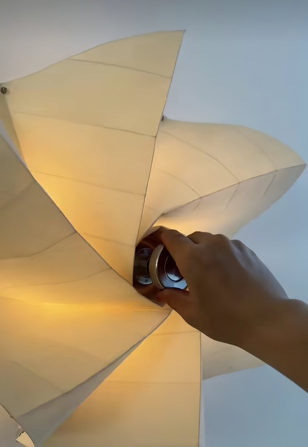 Bloom Petals Wall Light, Hardwired Wall Sconce, detail 13