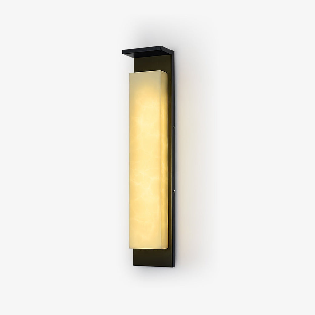 Delaney Exterior Wall Light, Outdoor Wall Light, Stainless Steel, L 16cm x W 11cm x H 50cm