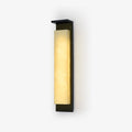 Delaney Exterior Wall Light, Outdoor Wall Light, Stainless Steel, L 16cm x W 11cm x H 50cm