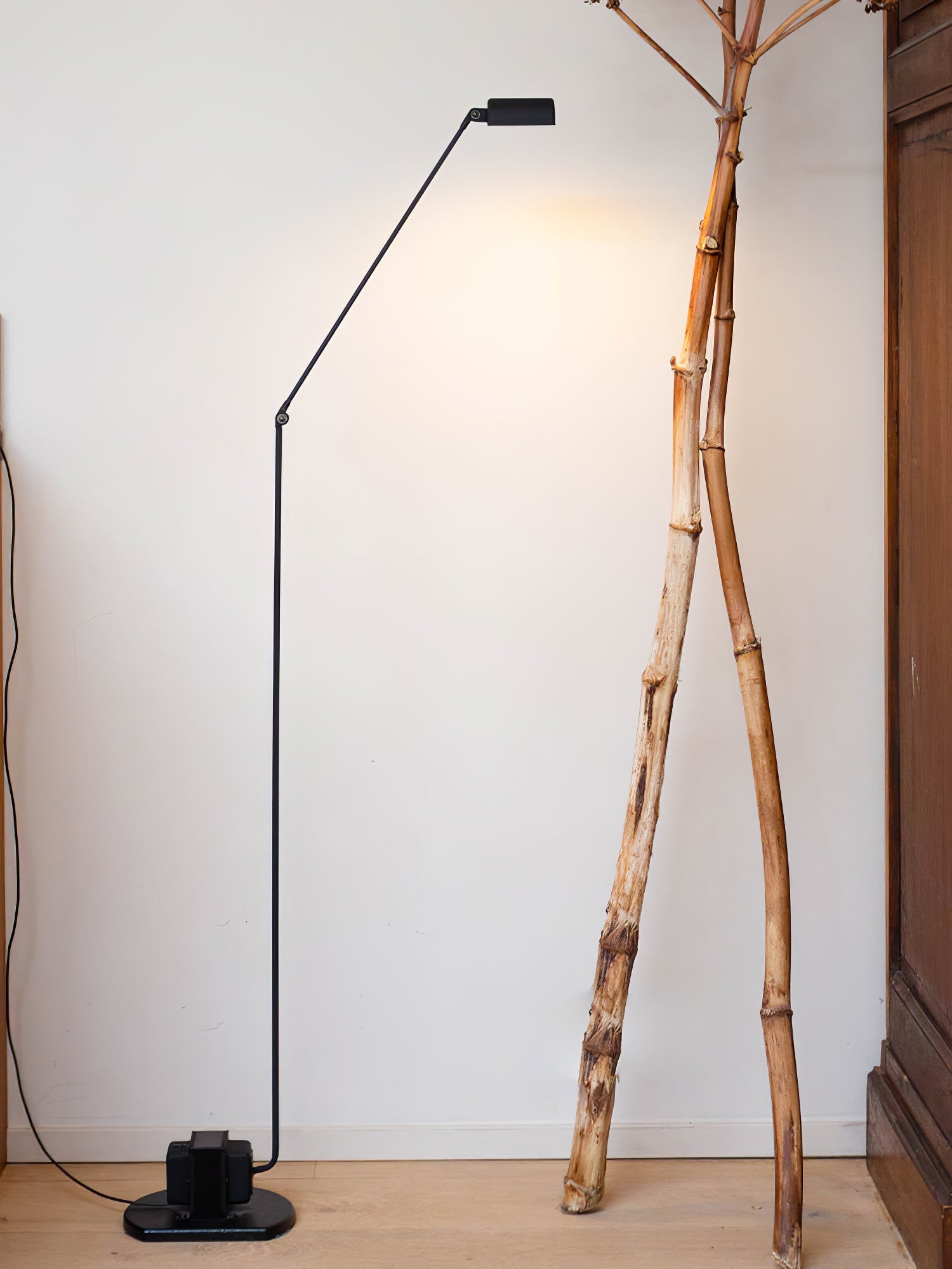 Dynamo Floor Light, Floor Lamp, detail 30