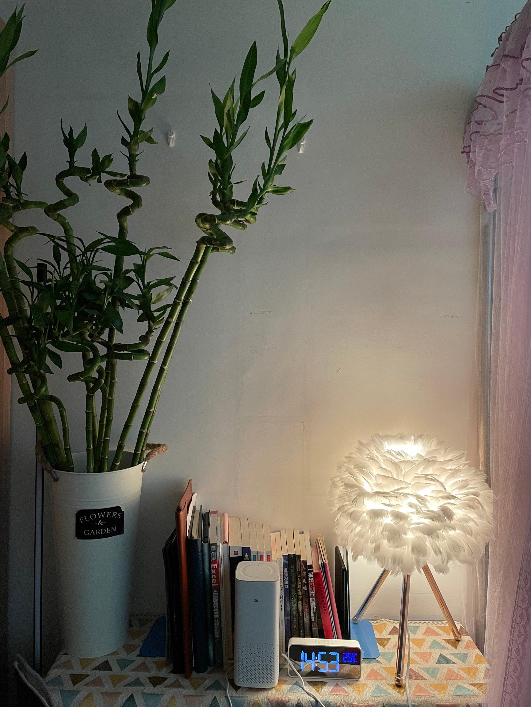 Goose Feather Table Light, Bedside Table Lamp, detail 31