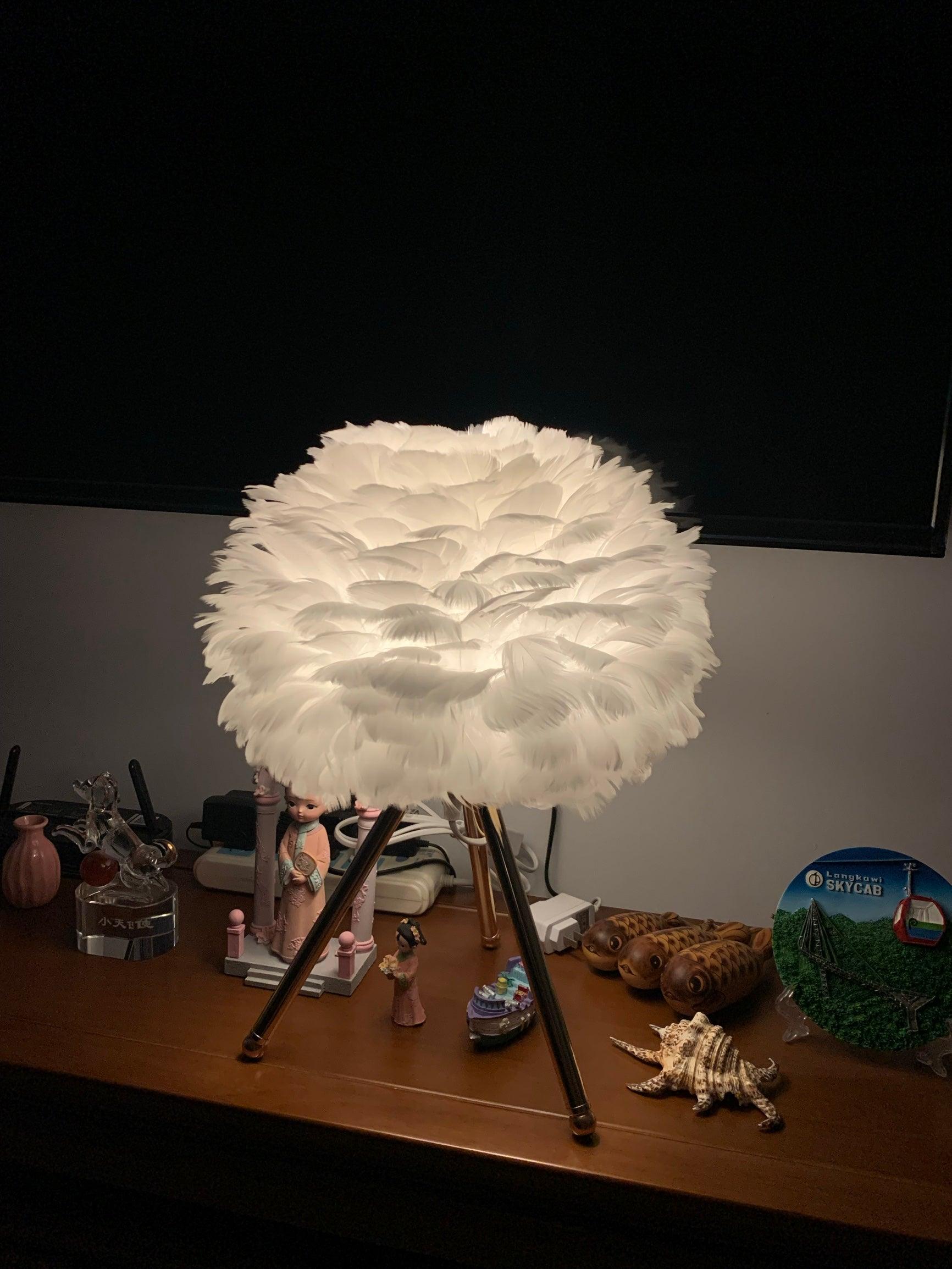 Goose Feather Table Light, Bedside Table Lamp, detail 41