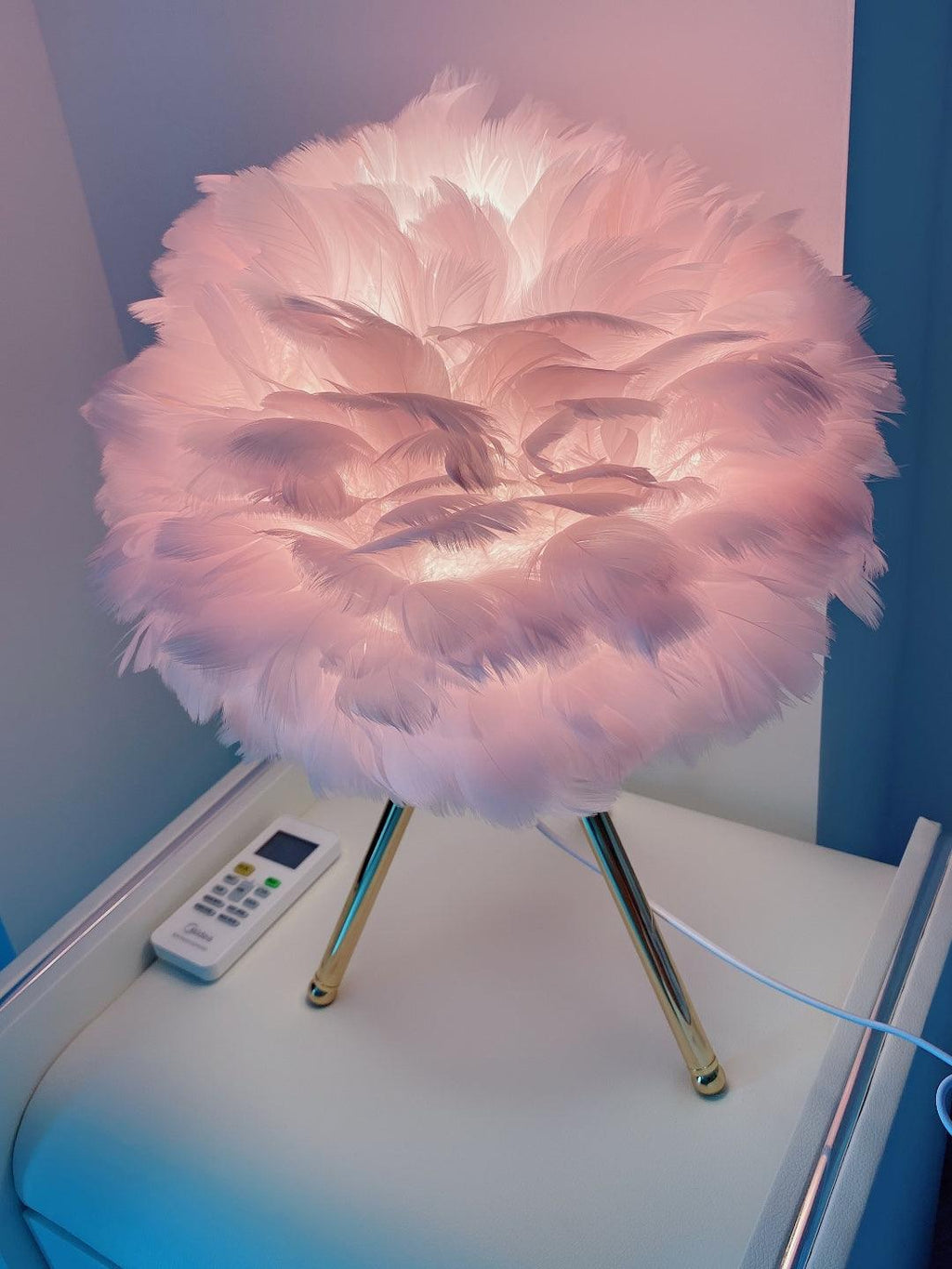 Goose Feather Table Light, Bedside Table Lamp, detail 44
