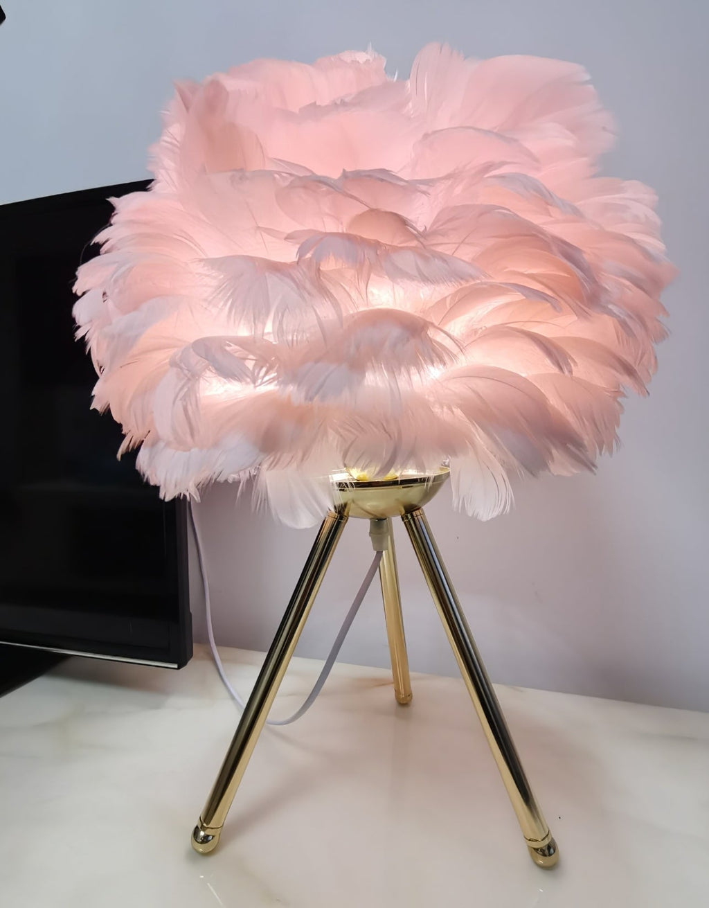 Goose Feather Table Light, Bedside Table Lamp, detail 55
