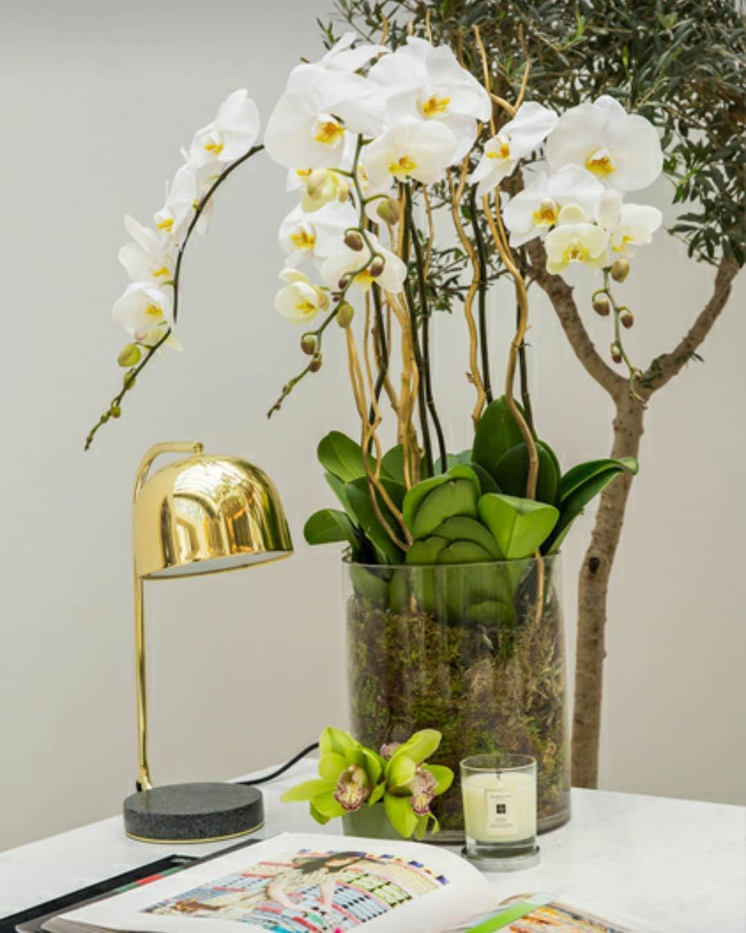 Grant Table Light, Bedside Table Lamp, detail 15