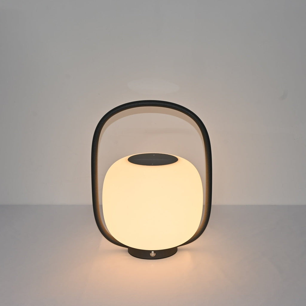 Lunava Lantern Exterior Lamp, Outdoor Wall Light, detail 6