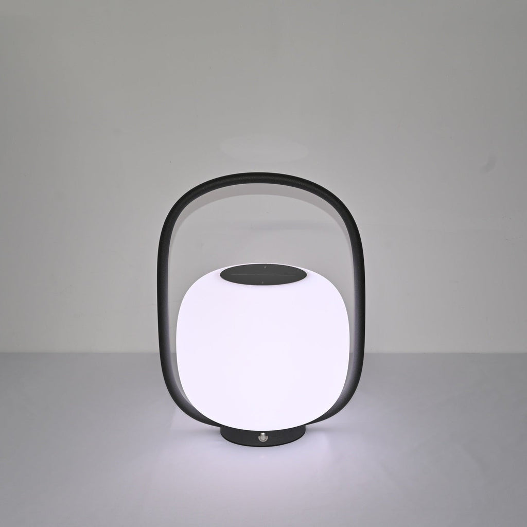 Lunava Lantern Exterior Lamp, Outdoor Wall Light, detail 8