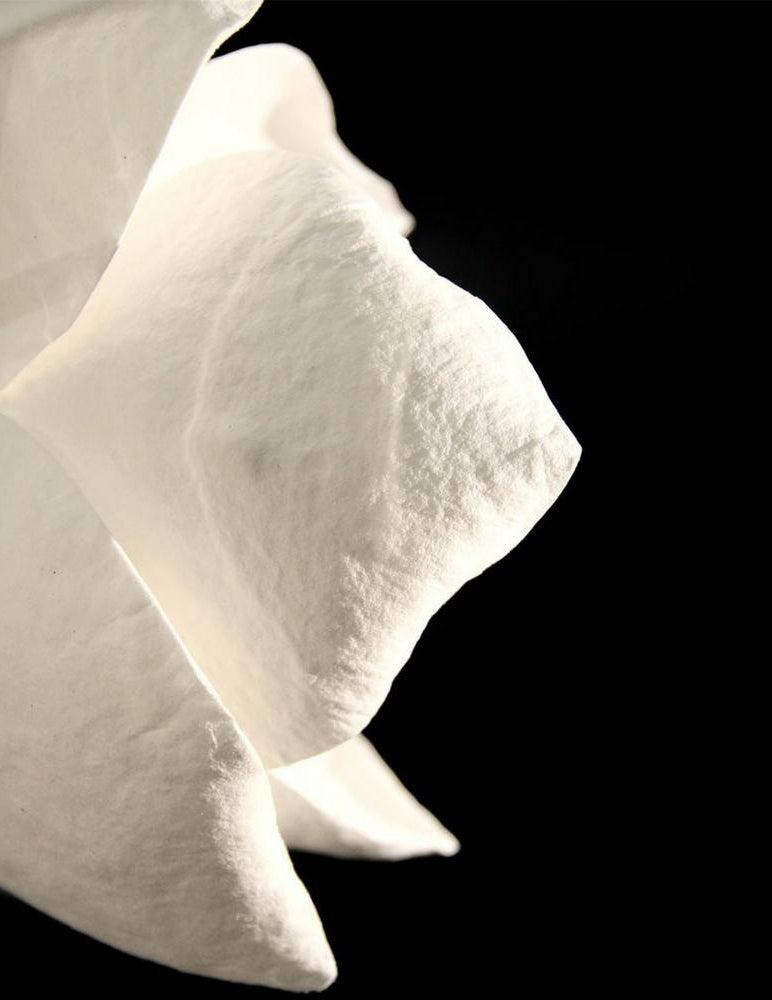 Lure Wall Light, Hardwired Wall Sconce, detail 23