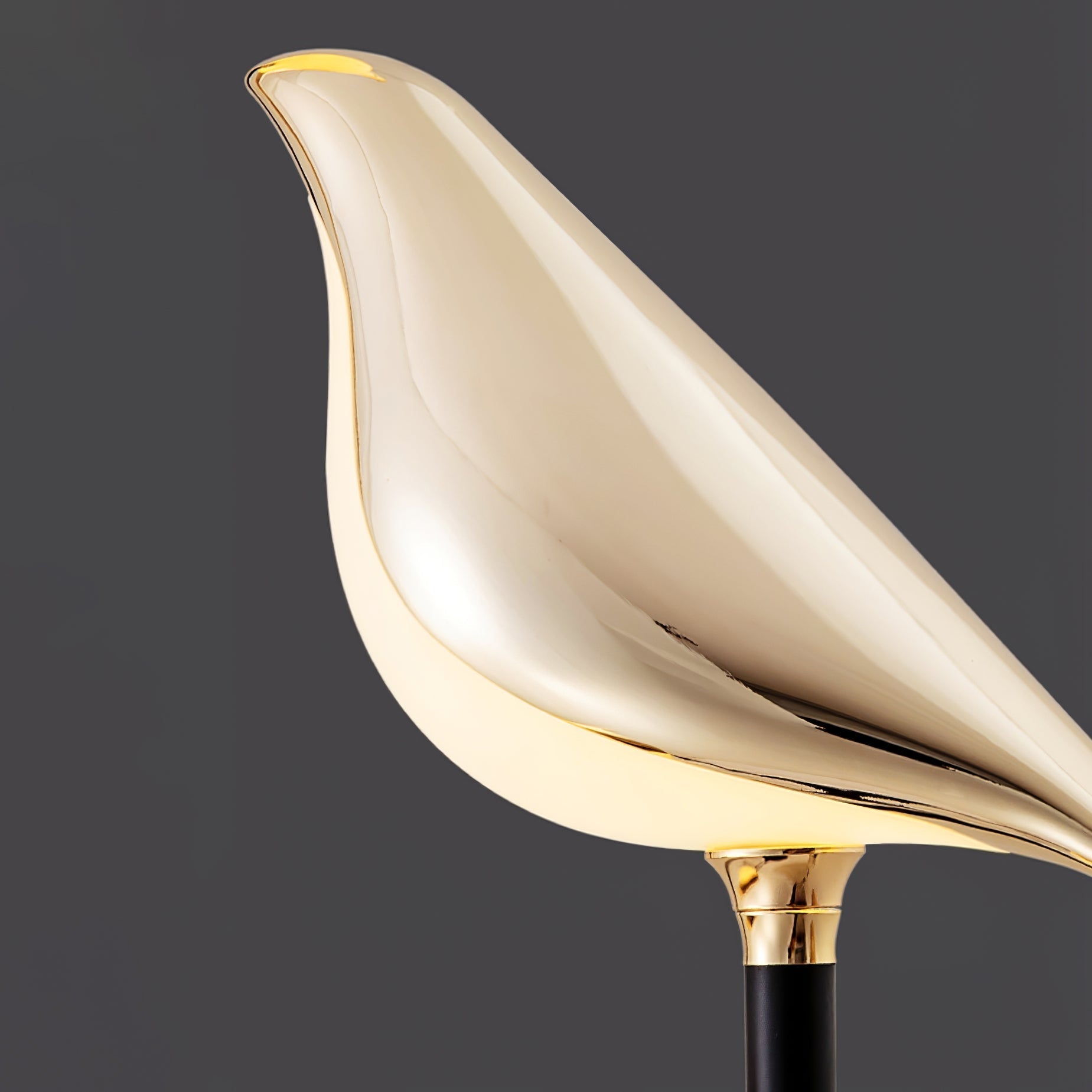 Magpie Perch Floor Light, Floor Lamp, detail 6