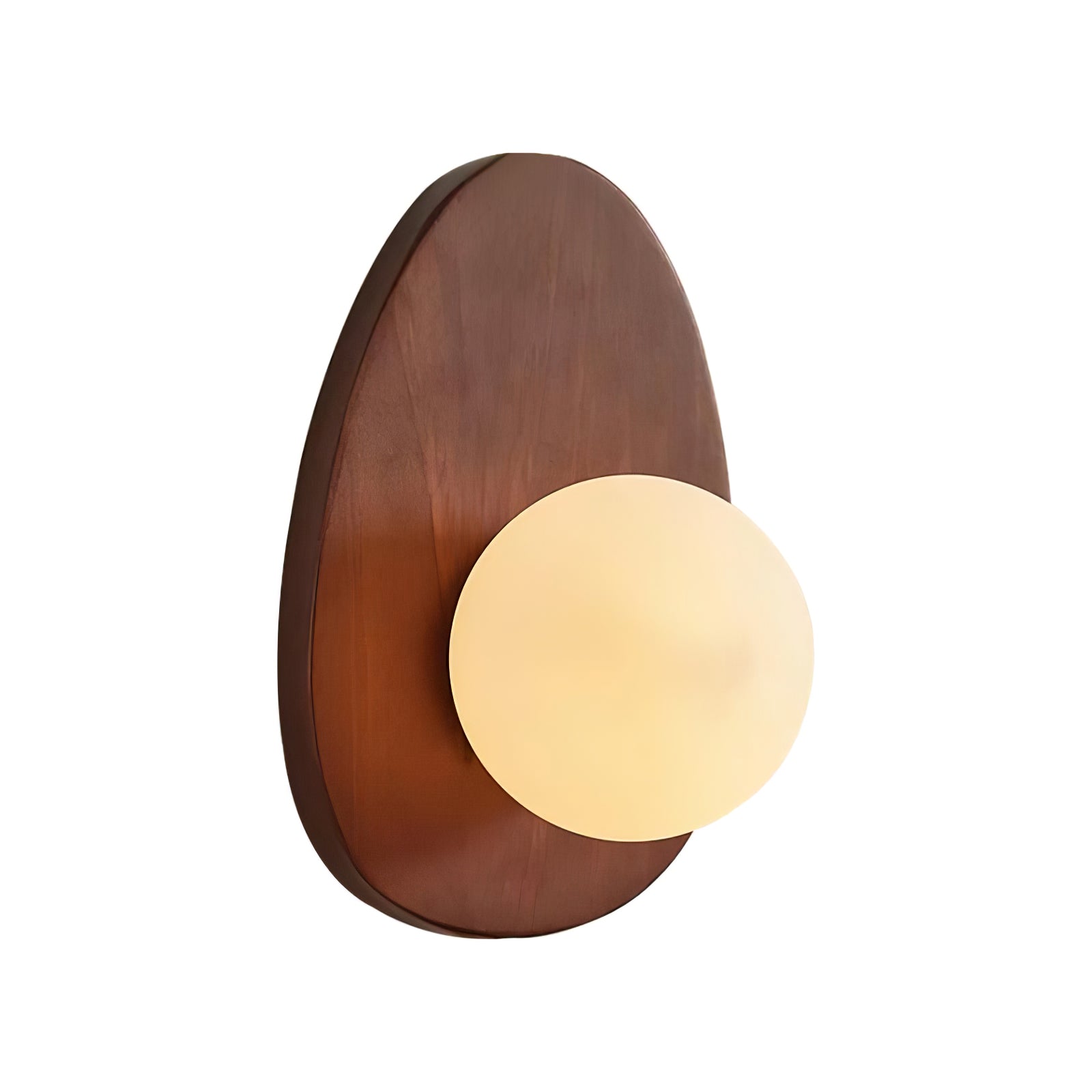 Orba Walnut Wall Light, Hardwired Wall Sconce, detail 9