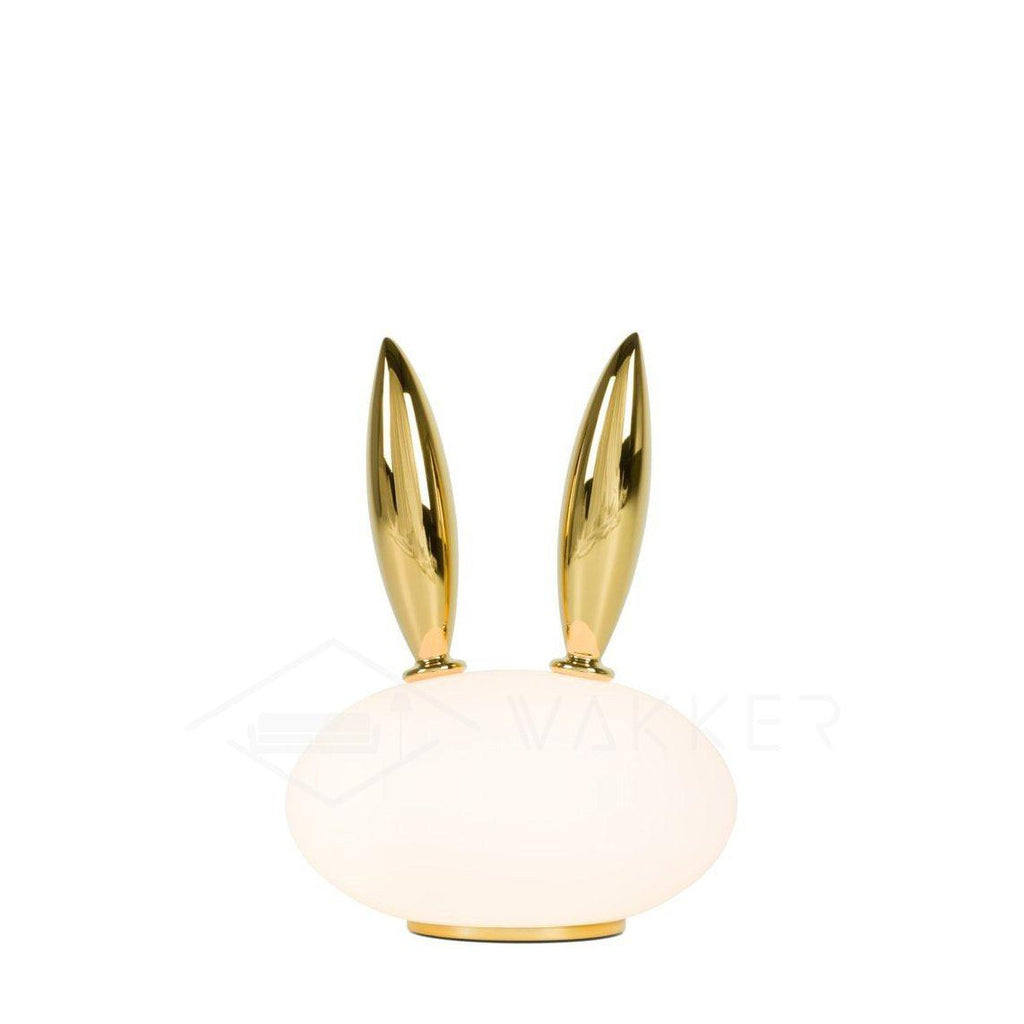 Glass Pet Desk Light, Bedside Table Lamp, detail 14