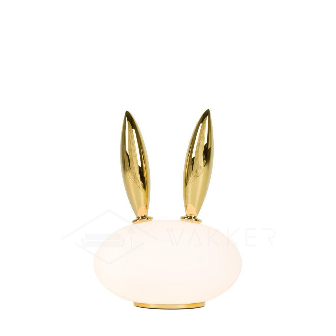 Glass Pet Desk Light, Bedside Table Lamp, detail 14
