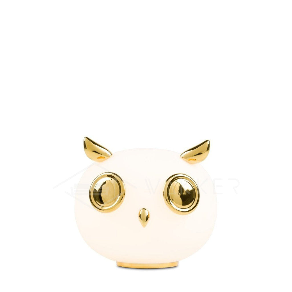 Glass Pet Desk Light, Bedside Table Lamp, detail 15