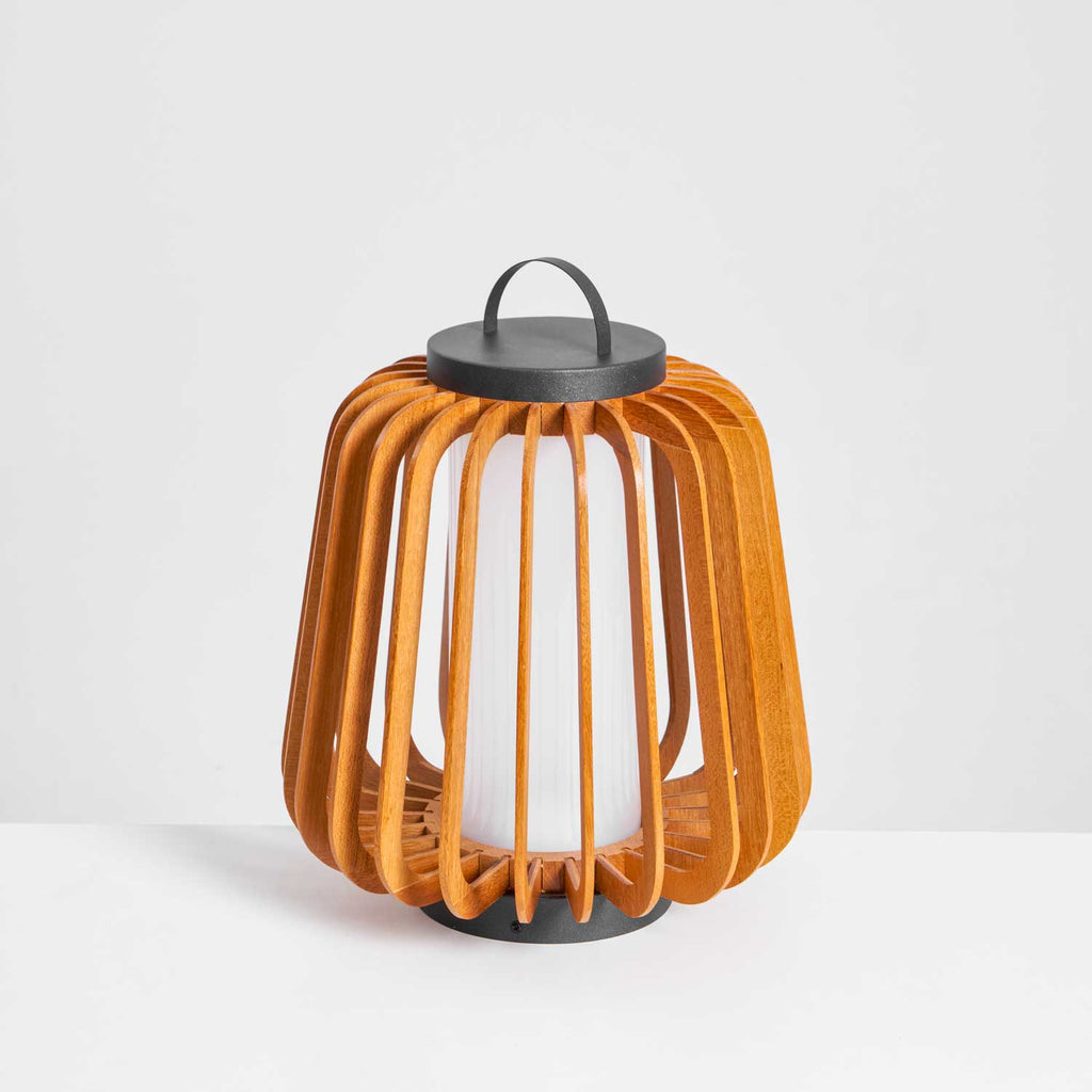 Portable Lantern Exterior Light - Black Outdoor Light, Outdoor Wall Light, detail 95