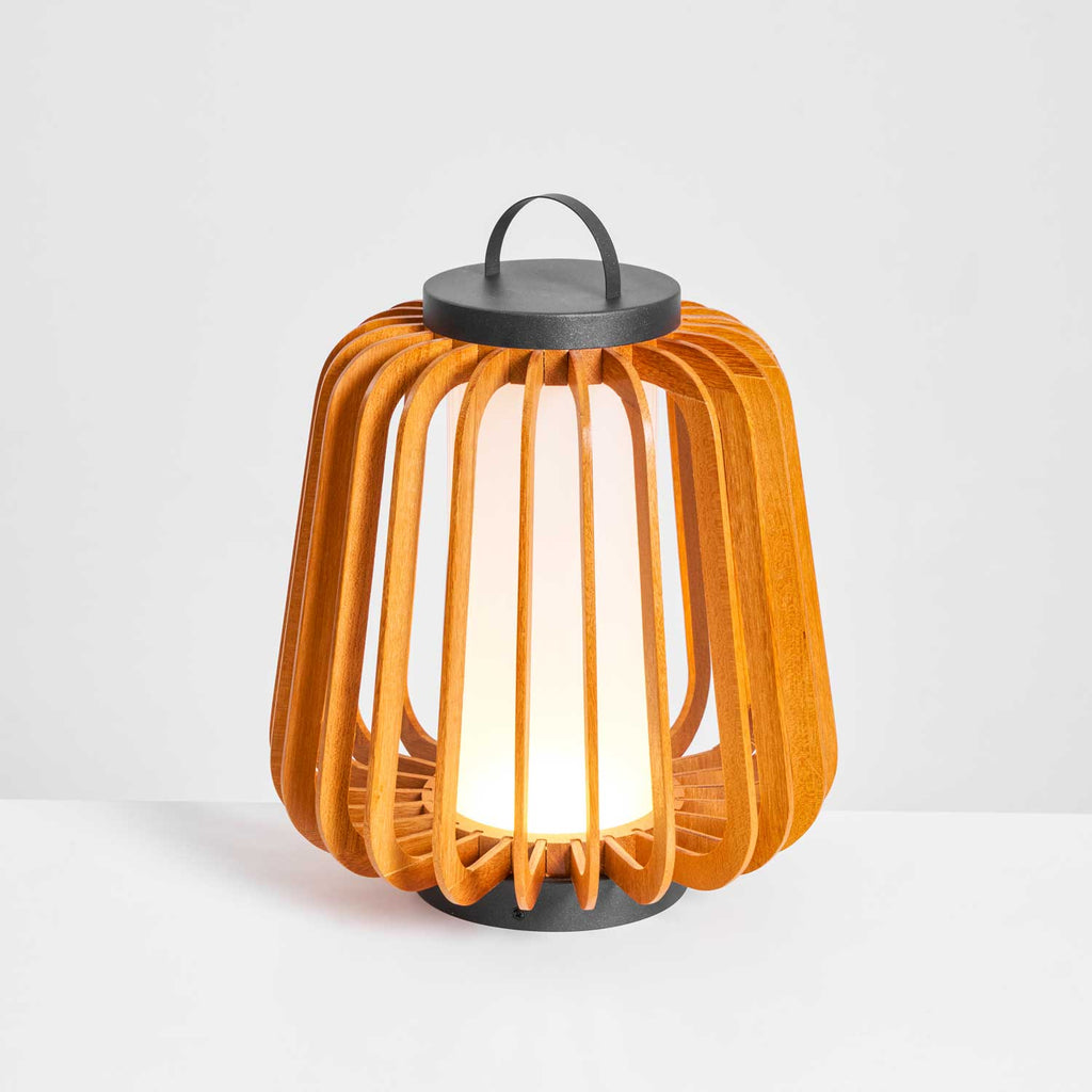 Portable Lantern Exterior Light - Black Outdoor Light, Outdoor Wall Light, detail 94