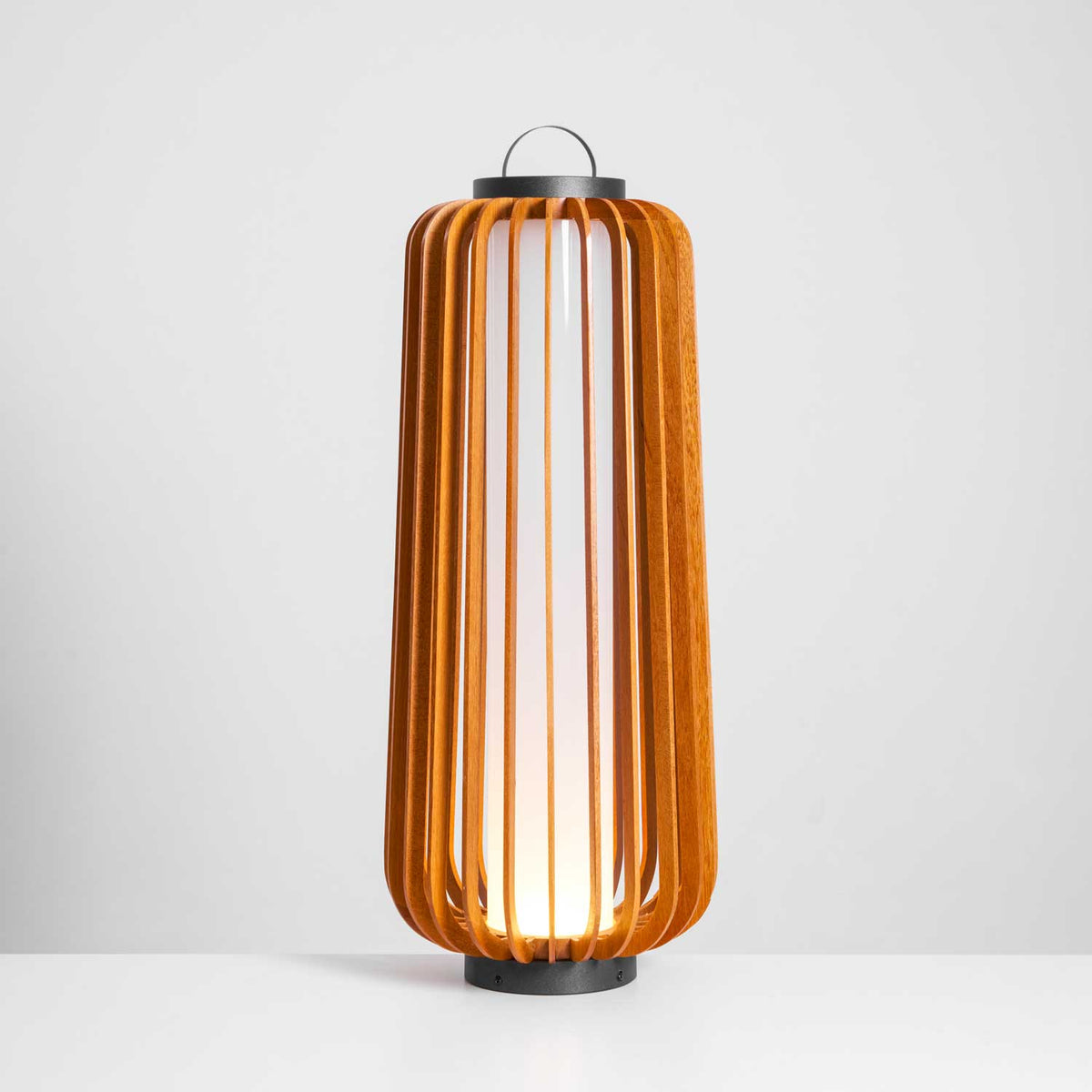 Portable Lantern Exterior Light - Black Outdoor Light, Outdoor Wall Light, detail 98