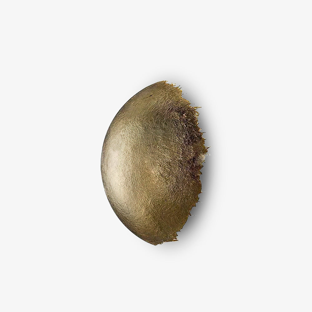 Postkrisi Wall Light, Hardwired Wall Sconce, detail 2
