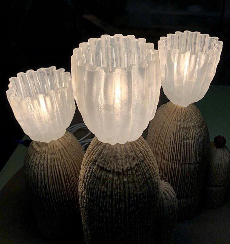 Glass RBS Reading Light Cactus Lamp, Bedside Table Lamp, detail 8