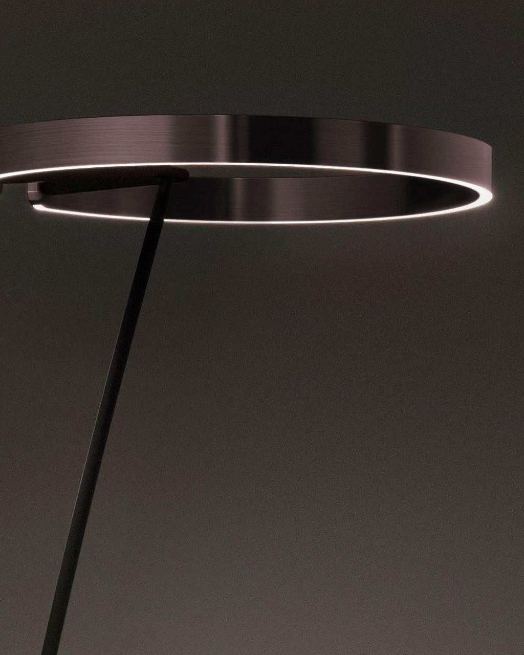 Ring Ambient Floor Light Floor Light, Floor Lamp, detail 17
