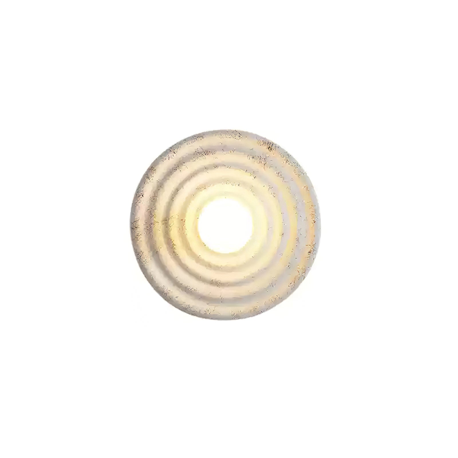 Seashell Resin Wall Light, Hardwired Wall Sconce, detail 11