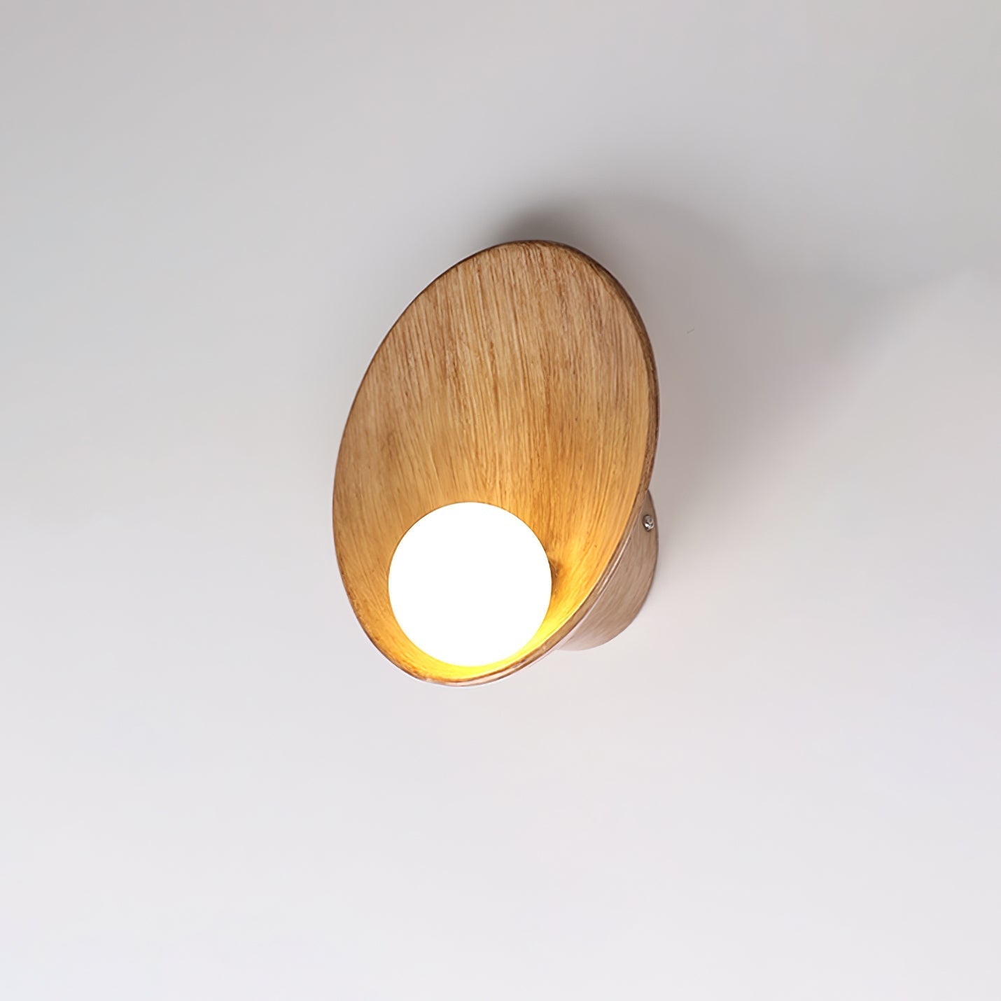 Seashell Resin Wall Light, Hardwired Wall Sconce, detail 9