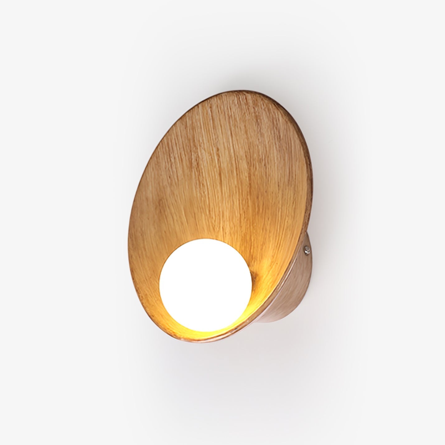 Seashell Resin Wall Light, Hardwired Wall Sconce, Dia 22cm x H 22cm