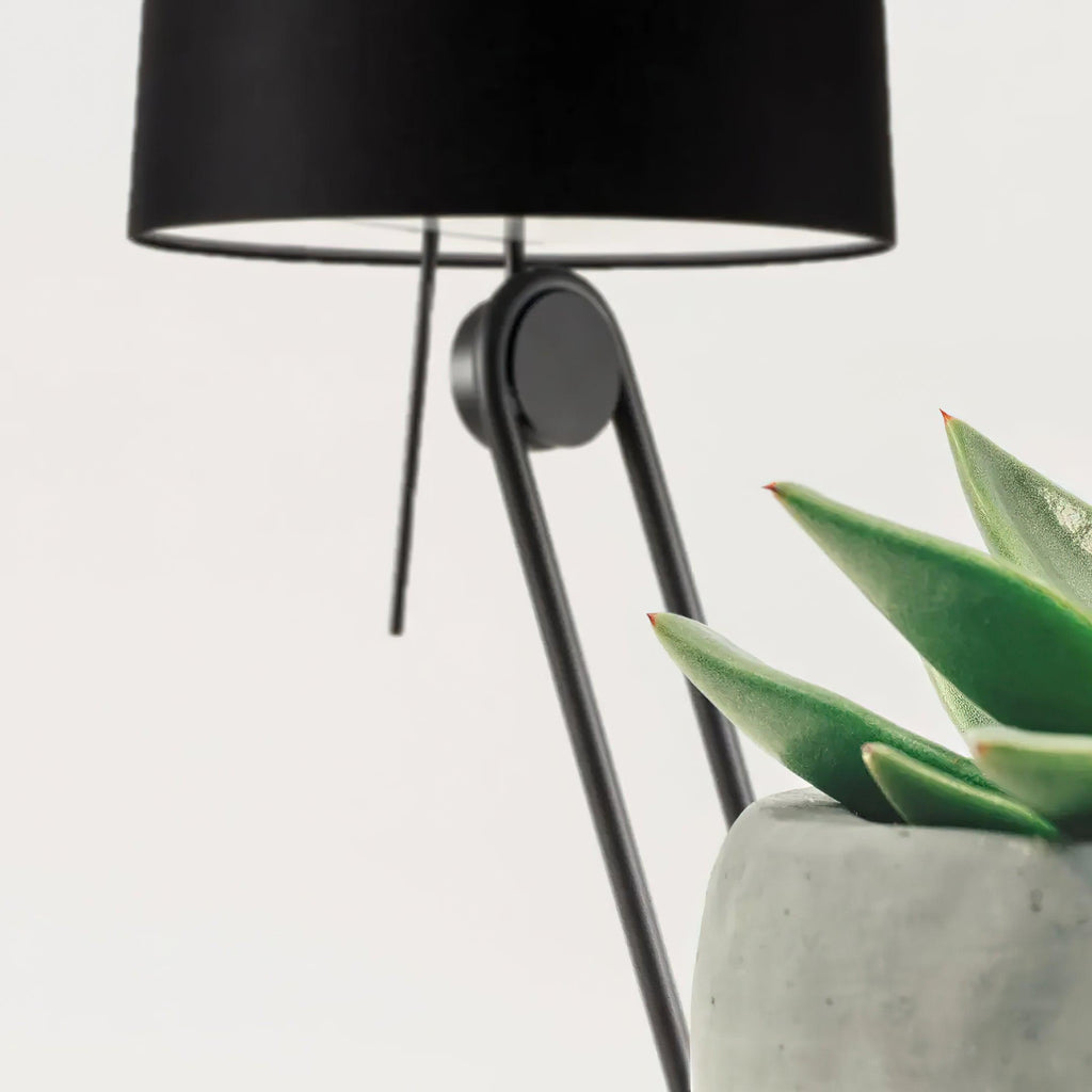 Sibaca Floor Light, Floor Lamp, detail 6