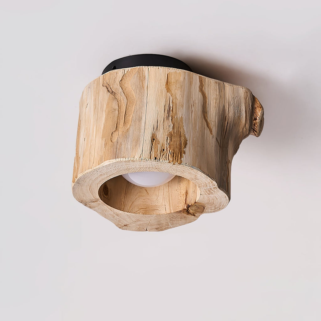 Metal Tarn Hollow Ceiing Lamp, Hardwired Wall Sconce, detail 12