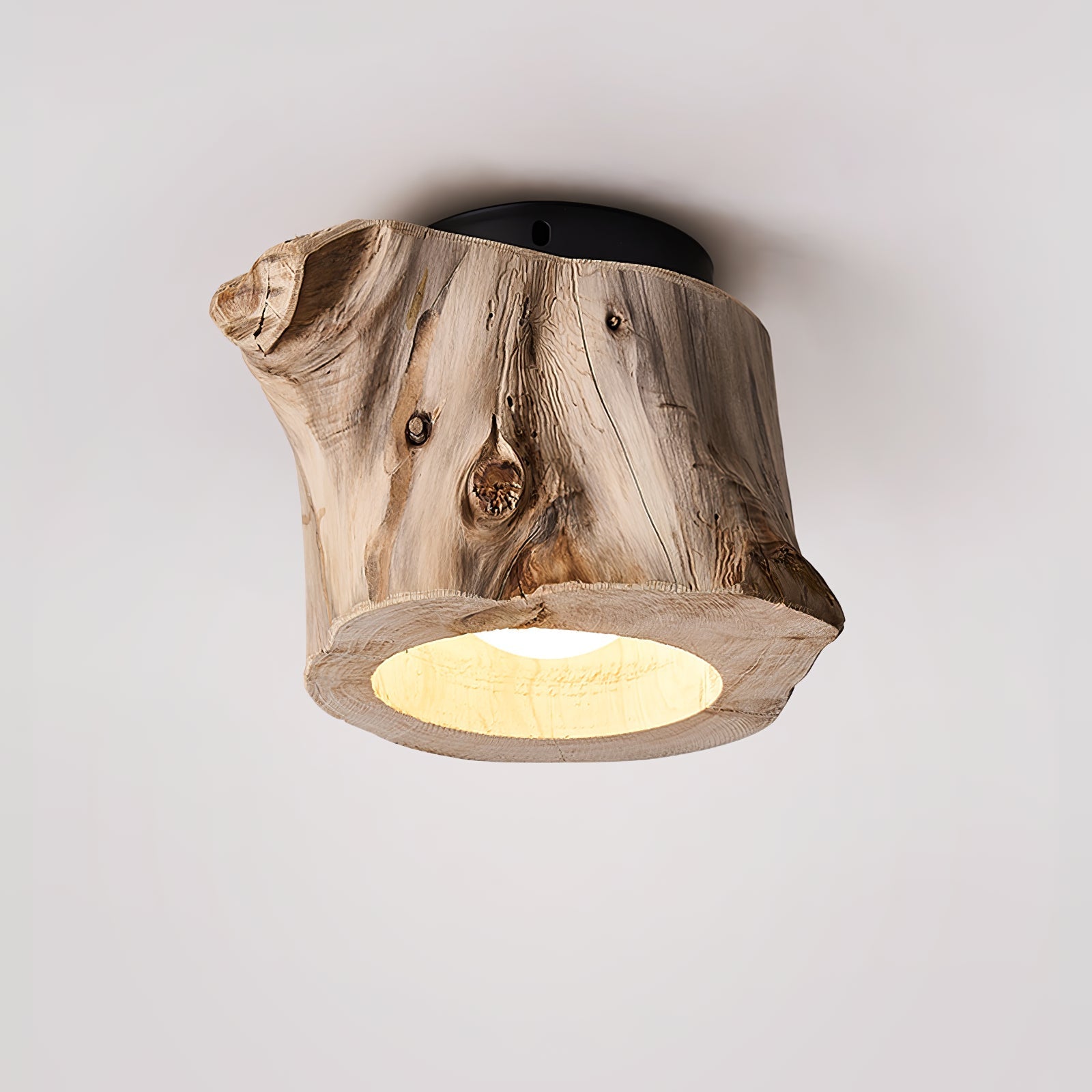 Metal Tarn Hollow Ceiing Lamp, Hardwired Wall Sconce, detail 9
