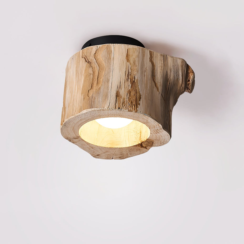 Metal Tarn Hollow Ceiing Lamp, Hardwired Wall Sconce, detail 11
