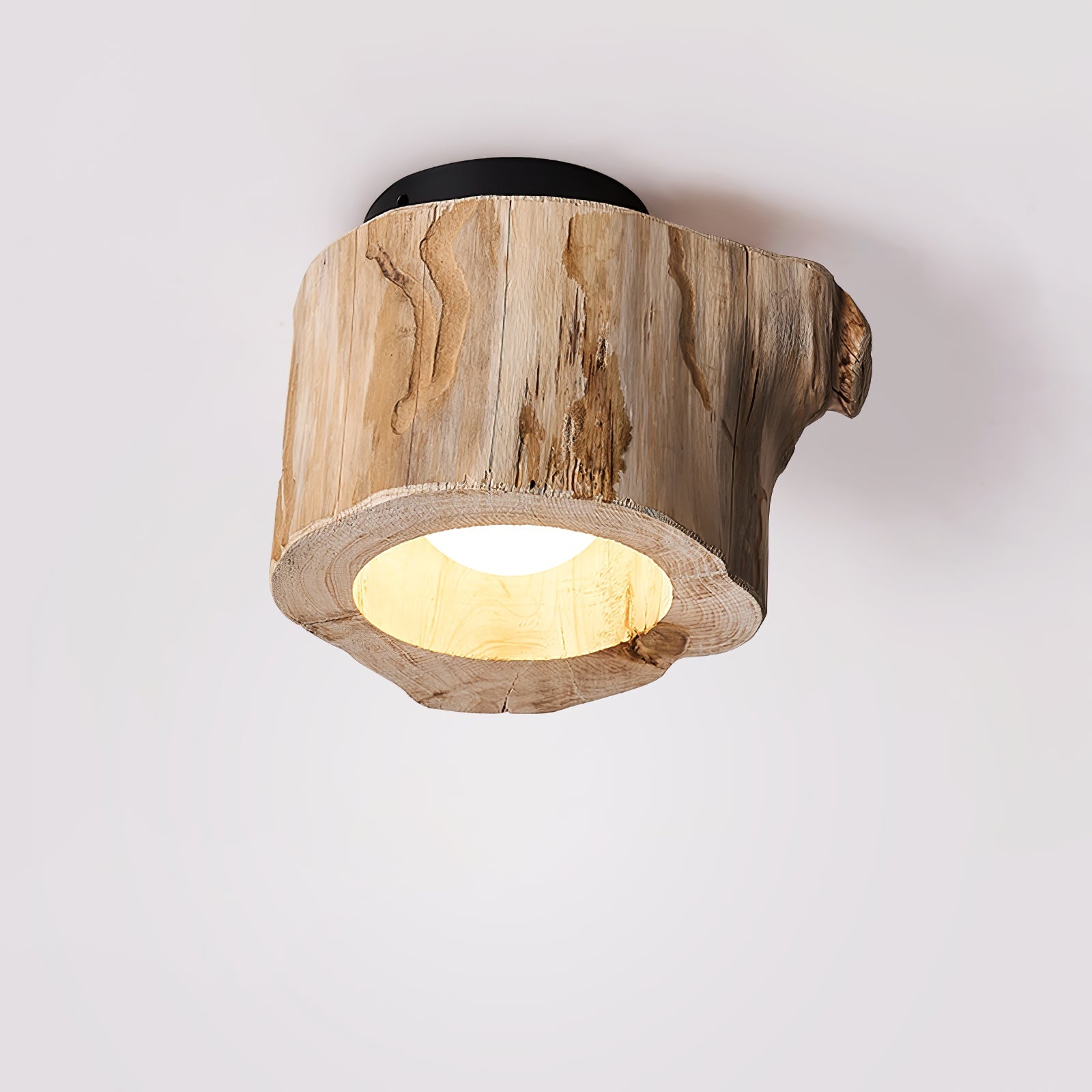 Metal Tarn Hollow Ceiing Lamp, Hardwired Wall Sconce, detail 11