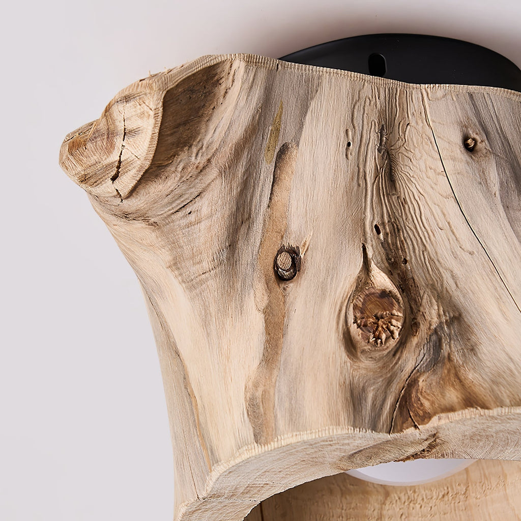 Metal Tarn Hollow Ceiing Lamp, Hardwired Wall Sconce, detail 14