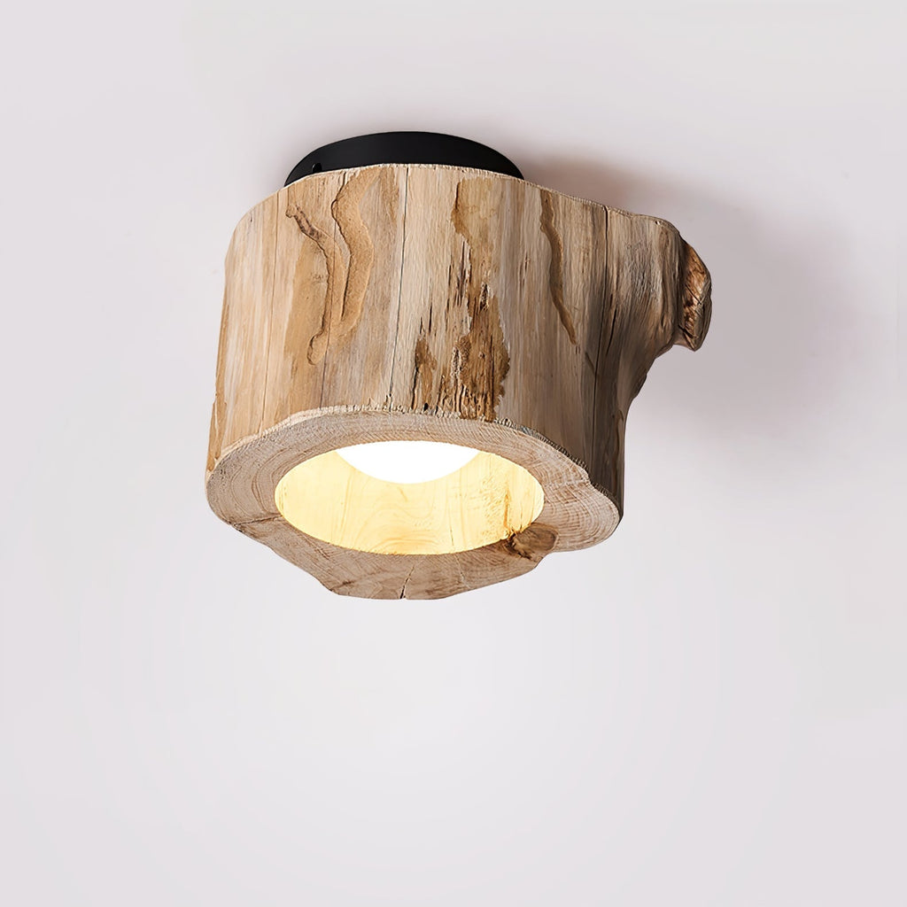 Metal Tarn Hollow Ceiing Lamp, Hardwired Wall Sconce, detail 17