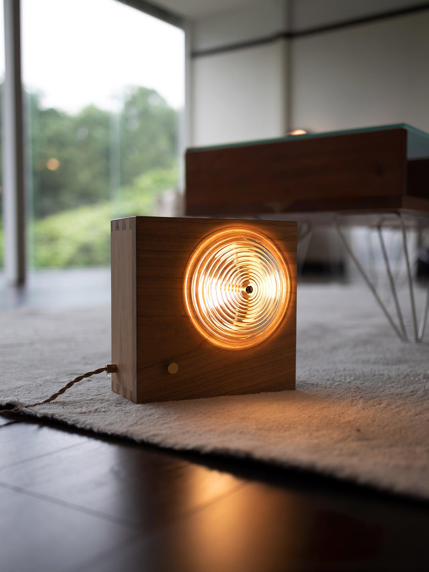 Vintage Camera Wall Light, Plug-In Wall Sconce, detail 5