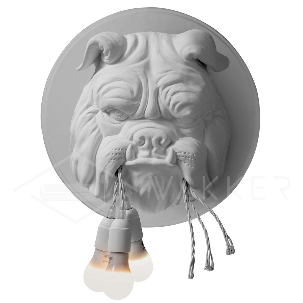 Amsterdam Wall Light, Hardwired Wall Sconce, Resin, Dia 41cm