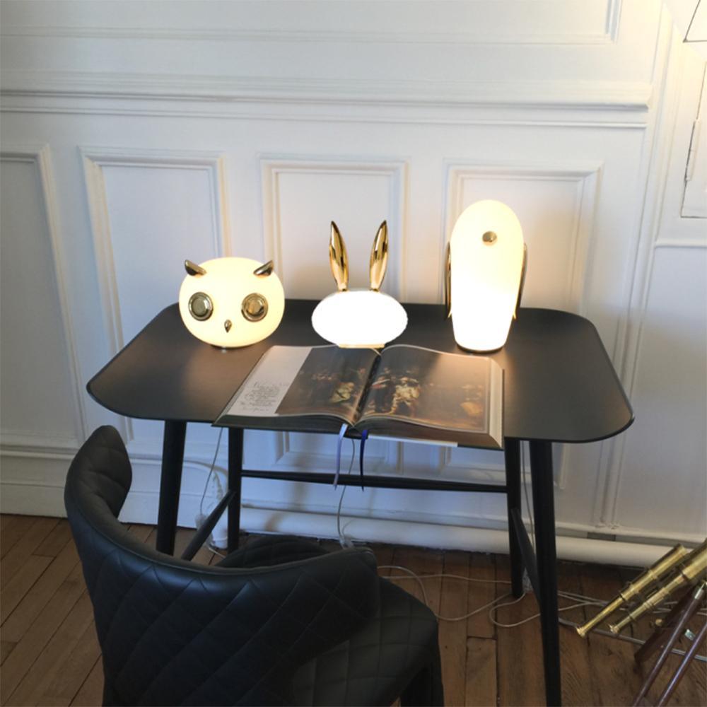 Glass Pet Desk Light, Bedside Table Lamp, detail 6