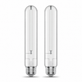 Two Tianguang long clear T10 tubular LED bulbs with white filaments and E26 screw bases
