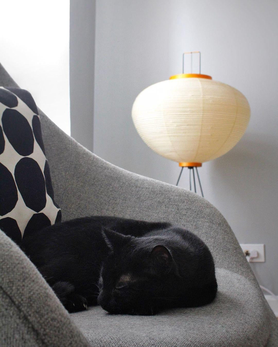 Washi Glow Floor Light, Floor Lamp, detail 53